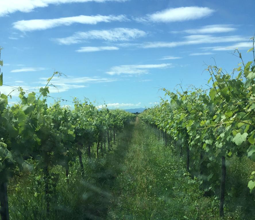 Le Vigne Della Duchessa Country