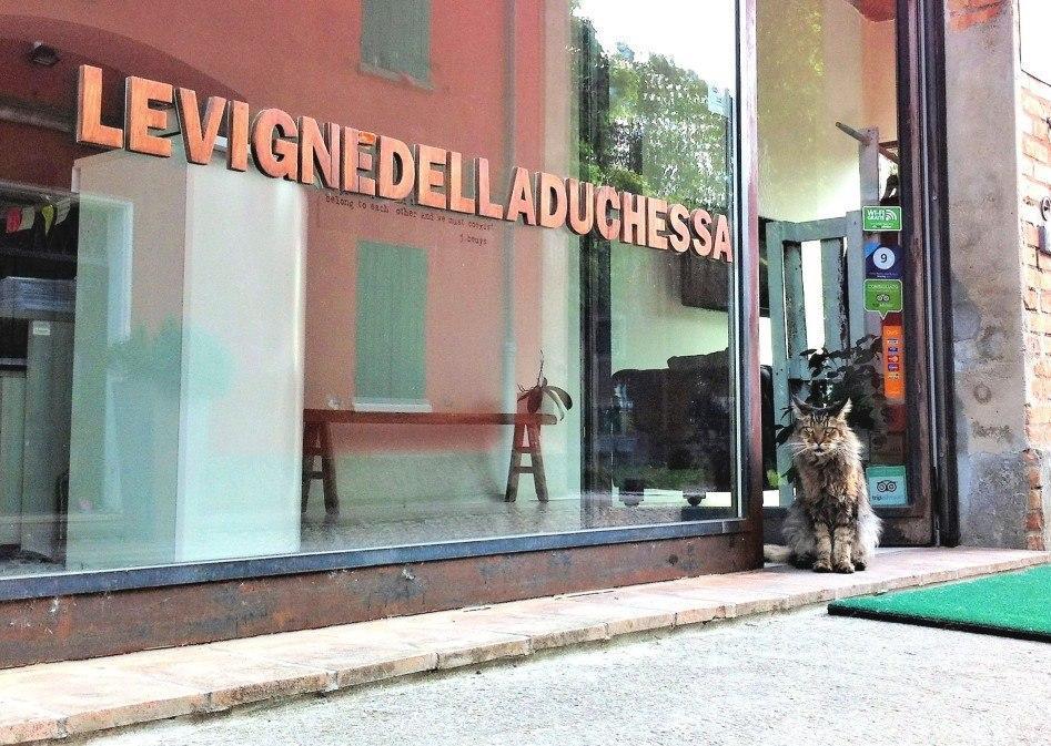 Hotel Le Vigne Della Duchessa Country Soliera